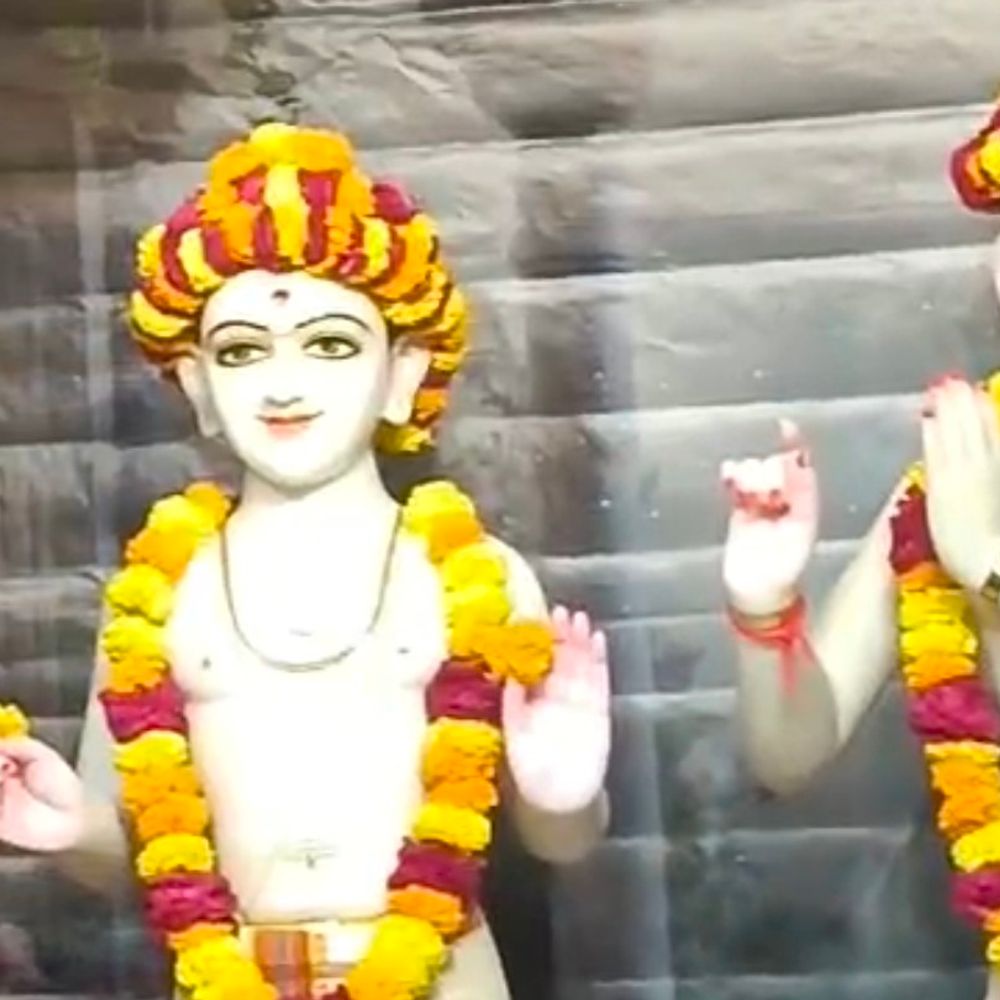 બોટાદ સ્વામિનારાયણ મંદિરમાં વાર્ષિક પાટોત્સવ ઉજવાયો:શ્રી હરિકૃષ્ણ મહારાજ અને રાધાકૃષ્ણ દેવનો દિવ્ય અભિષેક કરાયો