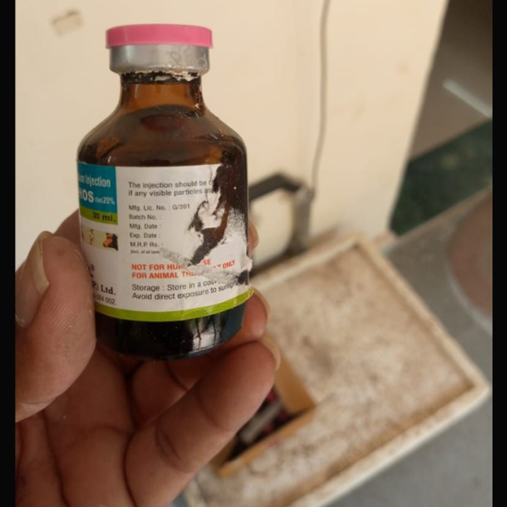 મહેસાણા: પશુ દવાખાનામાં ફરી એક્સપાયર દવા, જીવદયા પ્રેમીઓ દ્વારા પોલીસ ફરિયાદ.