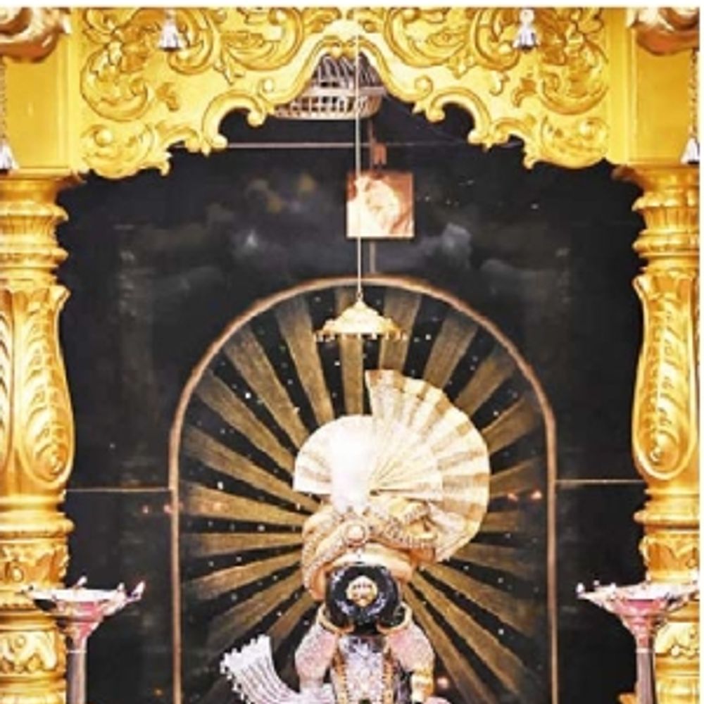 શનિ જન્મોત્સવની થશે ભવ્ય ઉજવણી:વાડીના શનિદેવ મંદિરના દ્વાર સવારે શરણાઈના સૂર સાથે ખુલશે, 5:30 કલાકે મંગળા આરતી થશે
