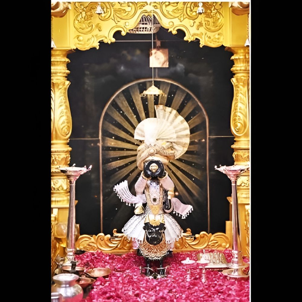 શનિ જન્મોત્સવ: ભવ્ય ઉજવણી અને શુભ સંયોગ.