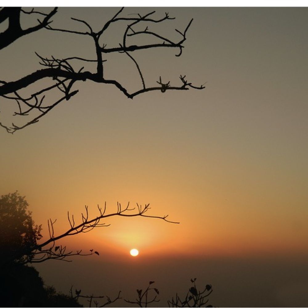 ઍન્કાઉન્ટર: પ્રશ્નો અને જવાબો, હાસ્ય રસ.