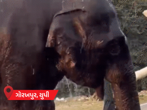 🔥 યુપીનું બાંદા સૌથી ગરમ, 22 શહેરોમાં પારો 43°C પાર