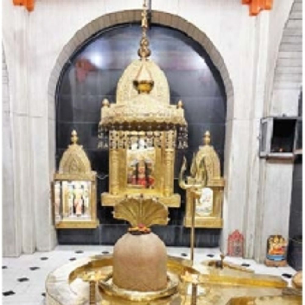 હરિહર મહોત્સવ: બ્રહ્મેશ્વર મંદિરે મૃત સંજીવની અભિષેક.