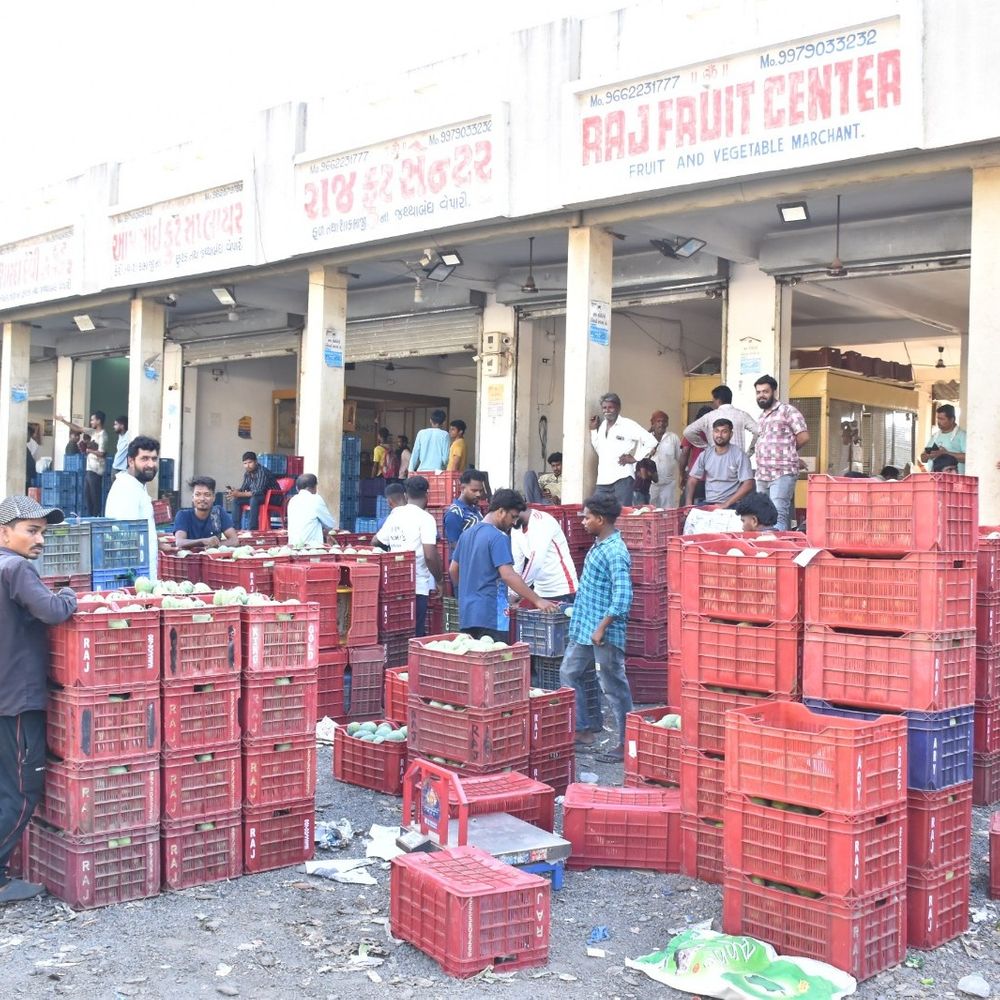 વલસાડની કેરીની વિશ્વભરમાં માંગ, 2 લાખ ટન ઉત્પાદનનો અંદાજ:ધરમપુર કેરી માર્કેટ ધમધમી ઉઠ્યું, 450થી વધુ કેરીના સ્ટોલ ઉભા કરાયા, હજારો આદિવાસીઓને રોજગારી
