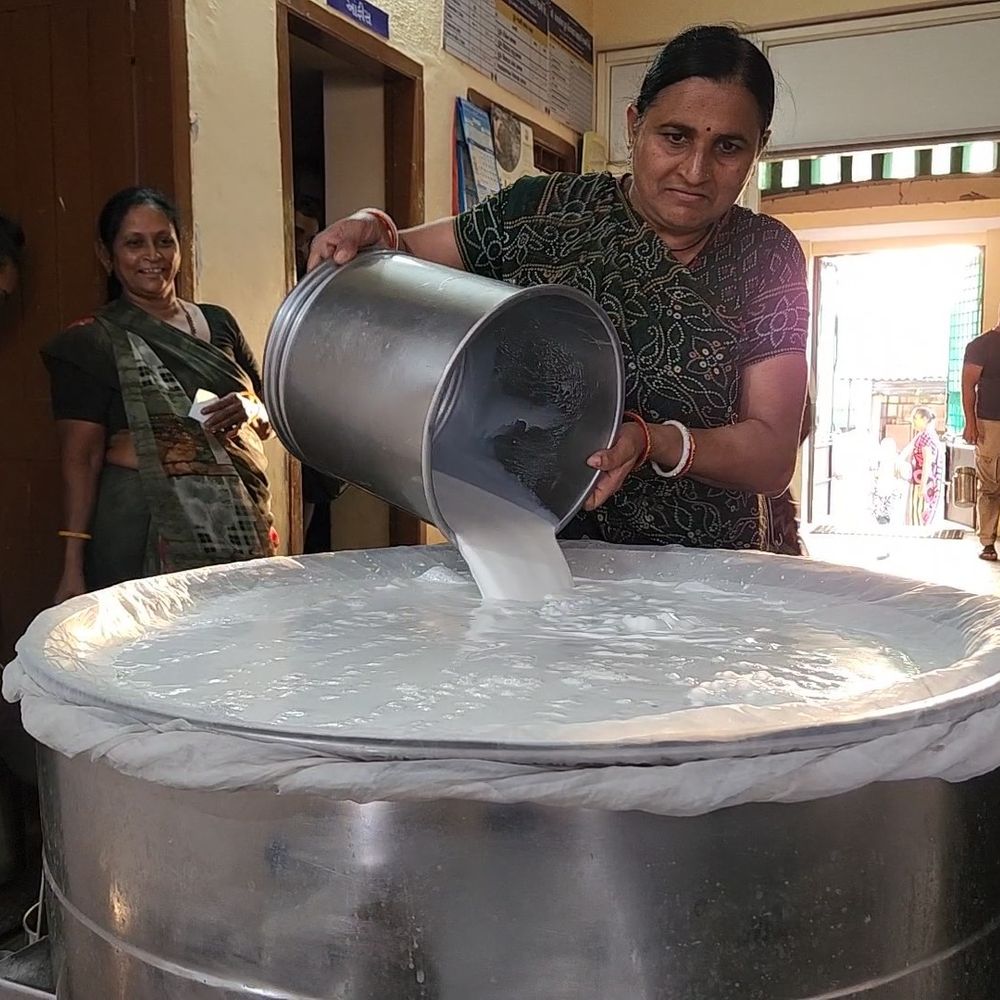 સાબરડેરીએ દૂધના ભાવમાં પ્રતિ કિલો ફેટે ₹15 વધાર્યા:1 જૂનથી અમલ, પશુપાલકોને હવે ₹865 પ્રતિ કિલો ફેટ મળશે