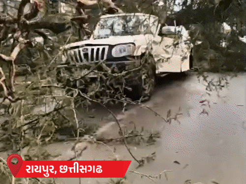 15 રાજ્યોમાં વરસાદનું એલર્ટ!