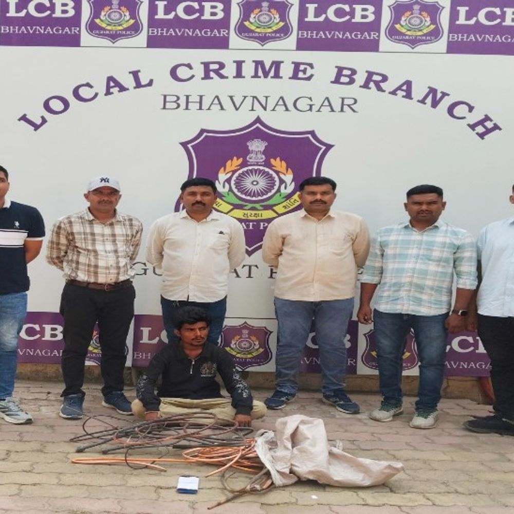 ચોરીનો ભેદ ઉકેલ્યો:LIC ઓફિસની અગાસીમાંથી તાંબાની પાઇપો ચોરનાર રીઢો ગુનેગાર 'નાગ' ઝડપાયો