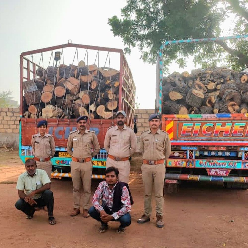 સુરેન્દ્રનગર વન વિભાગે 15 ટન લાકડા જપ્ત કર્યા:બે આઇશર વાહનમાંથી ₹18.20 લાખનો મુદ્દામાલ ઝડપાયો