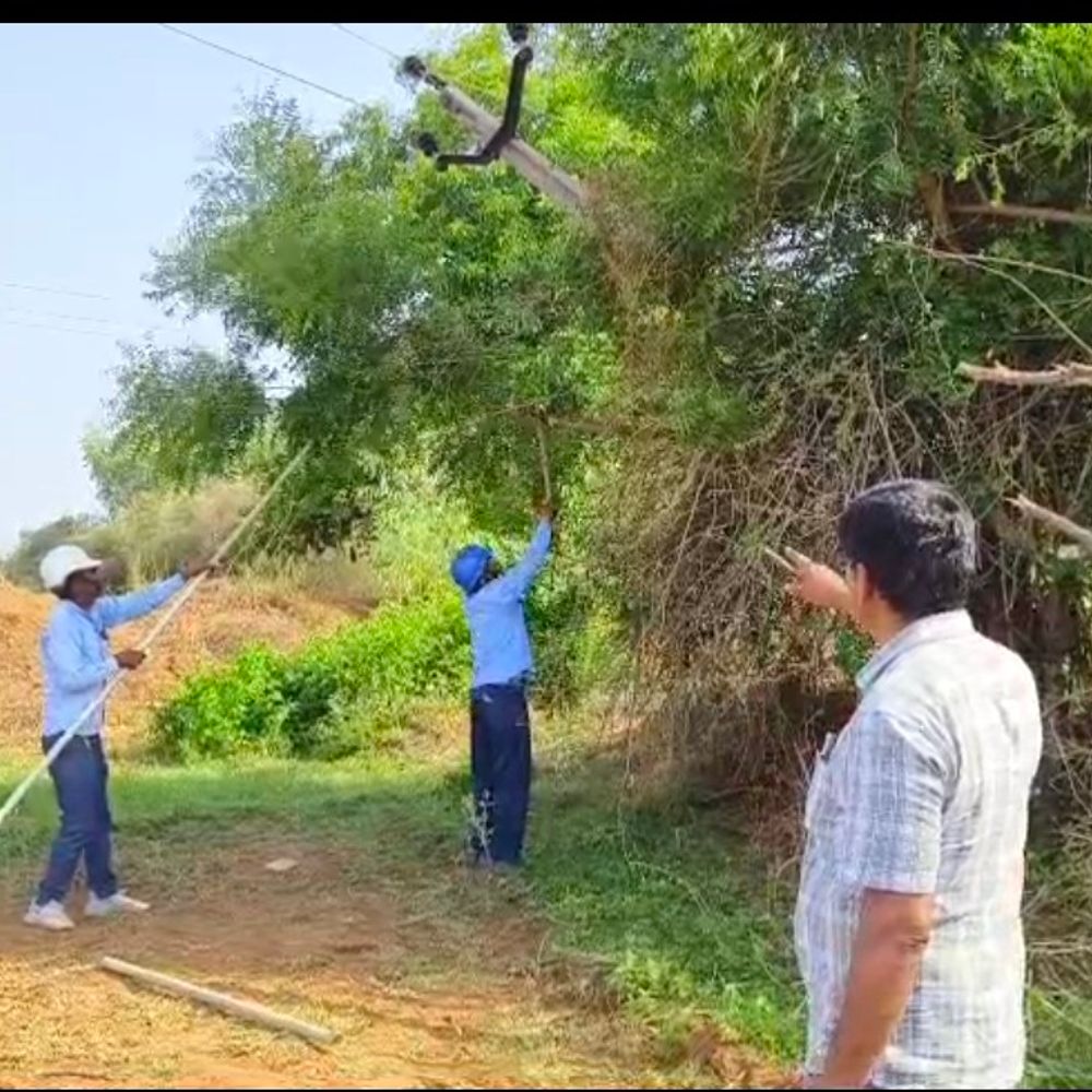 મહીસાગરમાં ભારે પવન સાથે વરસાદથી 51 વીજપોલ ધરાશાયી:MGVCLને 4 લાખનું નુકસાન થયાનો અંદાજ, વીજ પુરવઠો પૂર્વવત કરવા અલગ-અલગ ટીમો બનાવાઈ