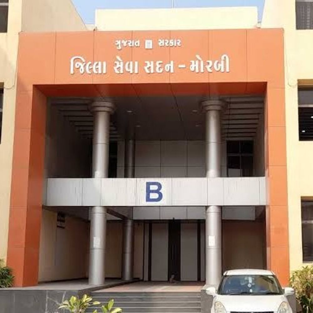 મોરબીમાં ગ્લુ-ટ્રેપના ઉત્પાદન, વેચાણ, ઉપયોગ પર પ્રતિબંધ:અધિક મેજિસ્ટ્રેટે જાહેરનામું બહાર પાડ્યું; 19 જુલાઈ સુધી અમલ