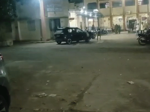 ઉના સરકારી હોસ્પિટલમાં આખલા બાખડ્યા