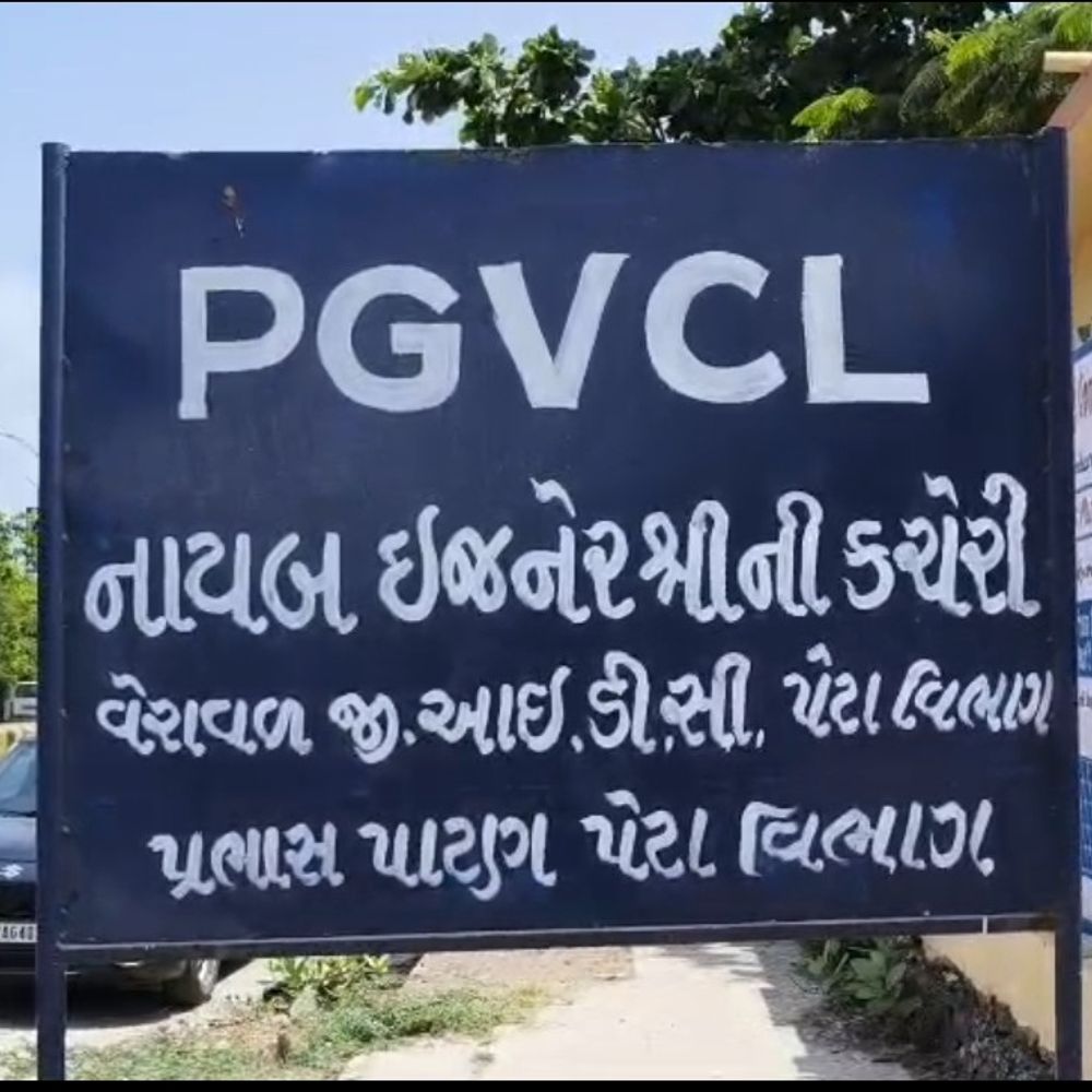 ડભોર-2ના અંબાજી પાર્કમાં વીજ ધાંધિયા:કંટાળેલા રહીશો PGVCL કચેરીએ પહોંચ્યા; અવની ફીડર પર ઓવરલોડ જવાબદાર હોવાનું PGVCLએ સ્વીકાર્યું