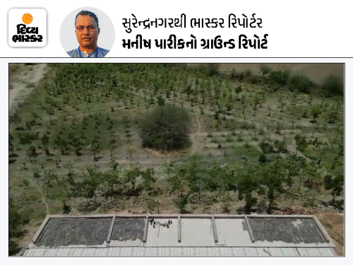 રણકાંઠે હરિયાળી ક્રાંતિ: યુવાને 67 વીઘામાં 10,000 વૃક્ષો વાવી મેળવ્યો ‘ધરતી રત્ન એવોર્ડ’