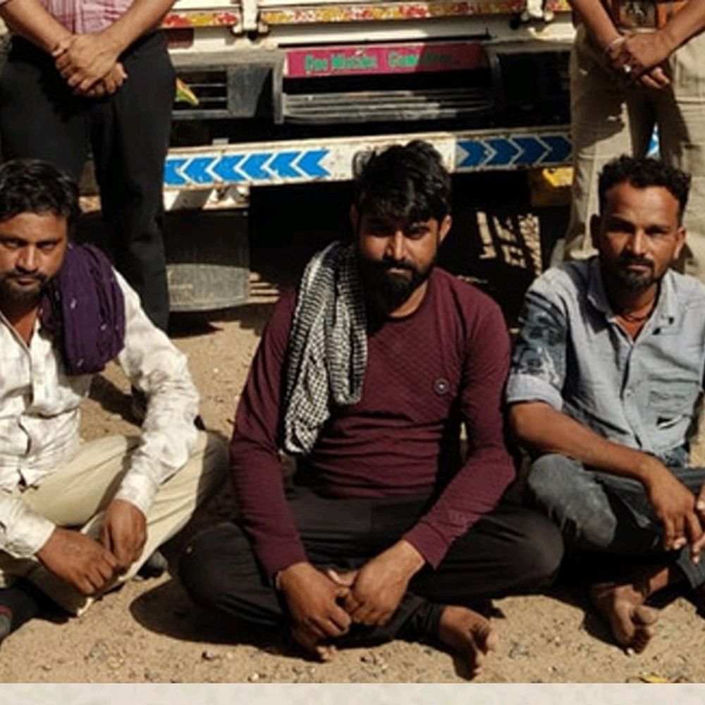 બાલીસણા પોલીસે સોલાર પેનલ ચોરીનો ભેદ ઉકેલ્યો:ત્રણ આરોપીઓને ઝડપી, રૂ. 1.88 લાખનો મુદ્દામાલ જપ્ત કર્યો