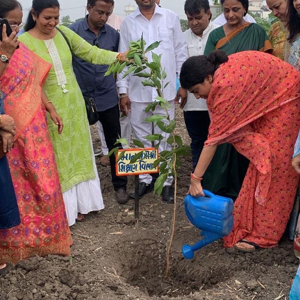 જામનગરમાં વિશ્વ પર્યાવરણ દિવસની ઉજવણી, વૃક્ષારોપણ કરાયું:'એક પેડ મા કે નામ' અંતર્ગત ભીમ વુડ્સ પાસે છોડ રોપાયા, લોકો અને અધિકારીઓએ ઉત્સાહભેર ભાગ લીધો