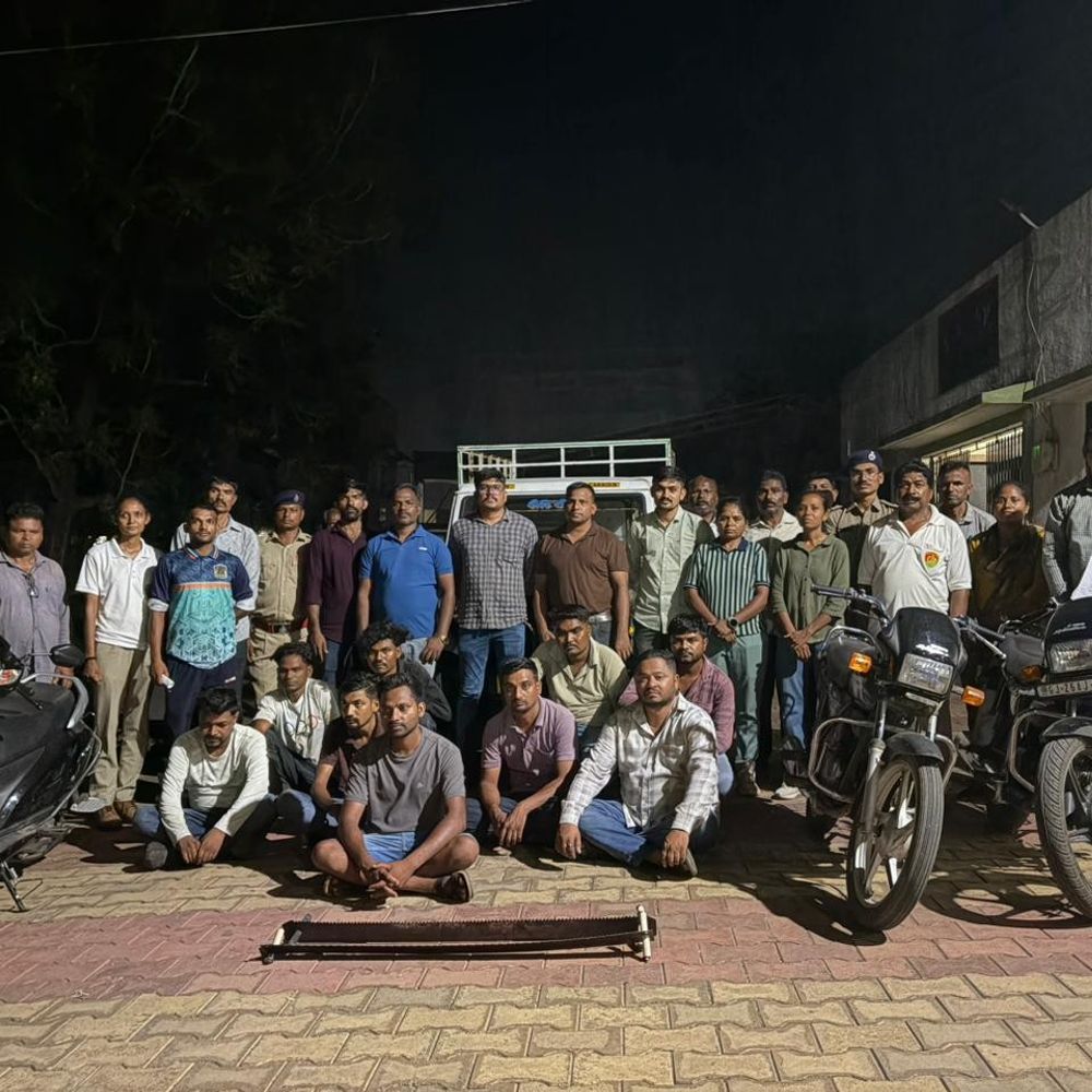 સોનગઢ જંગલમાંથી ખેરના લાકડા કાપતી ગેંગ ઝડપાઈ:વન વિભાગે 9 આરોપીઓ પકડ્યા, લાકડા-વાહનો જપ્ત કર્યા