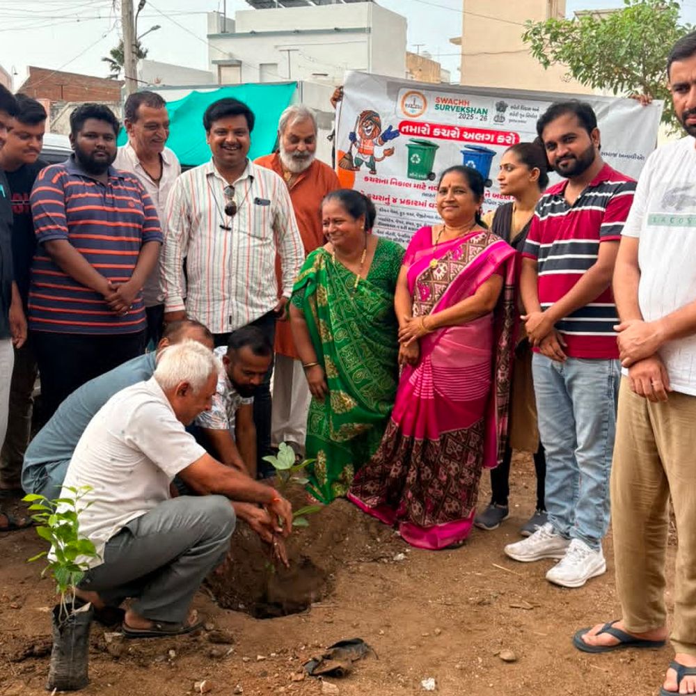 પીએમ મોદીના 12 વર્ષ પૂર્ણ, સુરેન્દ્રનગરમાં ઉજવણી:વોર્ડ નં 2 ખાતે વૃક્ષારોપણ અને સફાઈ અભિયાન યોજાયું