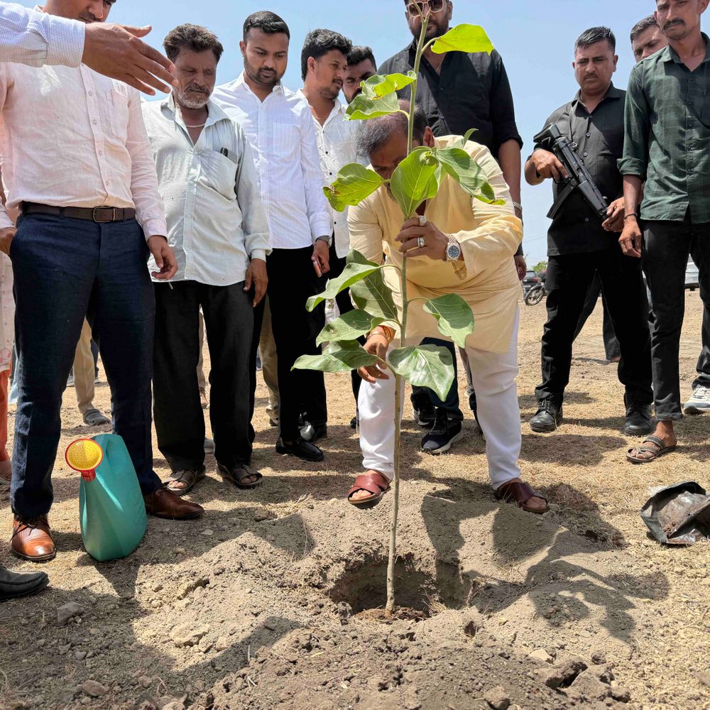 અમરેલીમાં ઇન્ડો એશિયા કોપર લિમિટેડ દ્વારા વૃક્ષારોપણ:જિલ્લા કલેક્ટરની હાજરીમાં 15 વીઘામાં રોપણ, 4 વર્ષ જતન કરી ગામને સોંપાશે