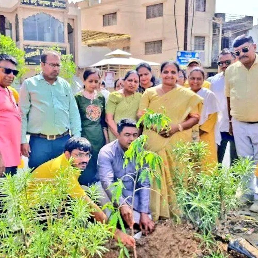 મોડાસામાં વિશ્વ પર્યાવરણ દિવસની ઉજવણી:ગાયત્રી મંદિર પાસે નગરપાલિકા-સામાજિક વનીકરણ વિભાગે વૃક્ષારોપણ કર્યું