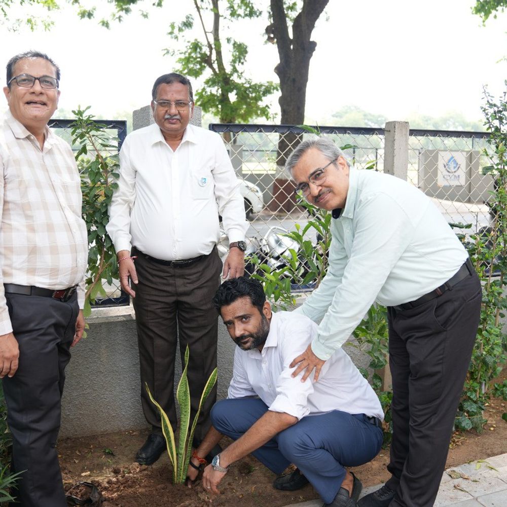 CVM યુનિવર્સિટીએ વિશ્વ પર્યાવરણ દિવસે વૃક્ષારોપણ કર્યું:પર્યાવરણ સંરક્ષણ માટે અનોખો સંકલ્પ લીધો