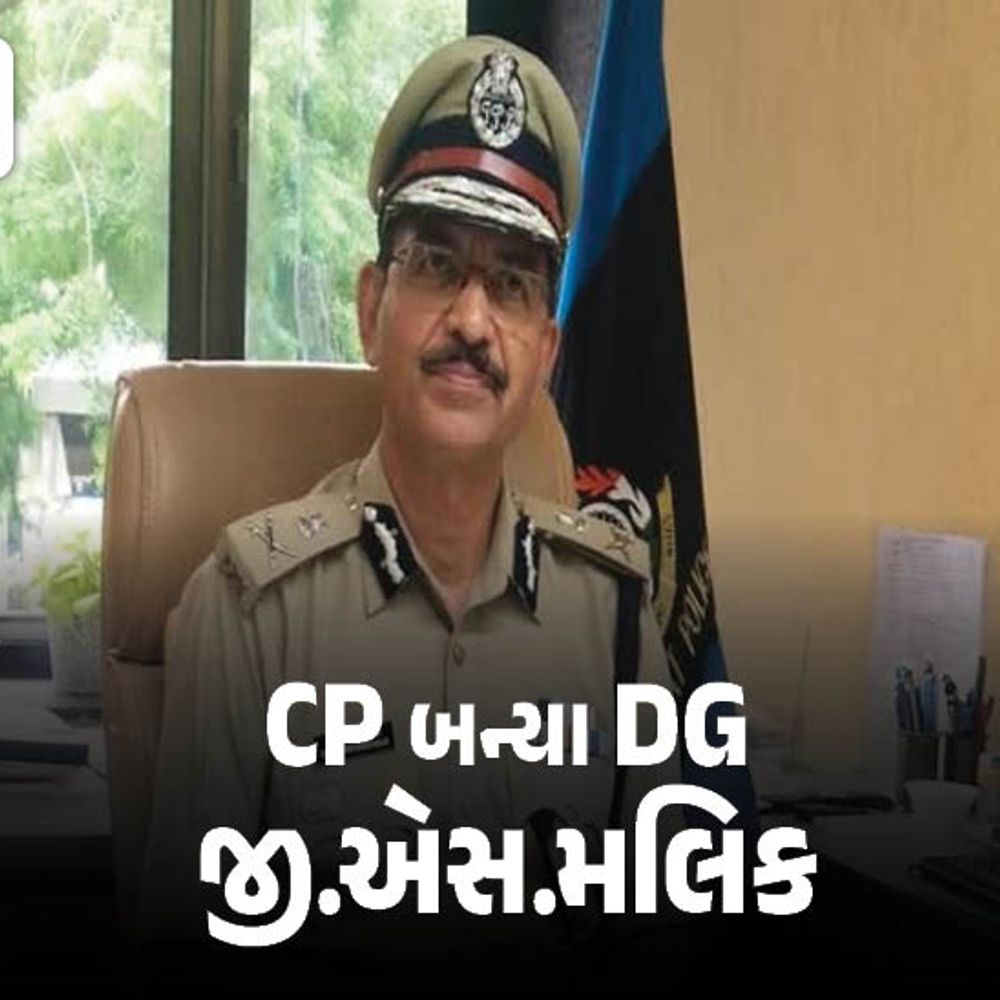 મૂળ હરિયાણાના જી.એસ.મલિક રાજ્યના નવા DGP:રાવ CID ક્રાઇમ અને જેલ ડીજી તરીકે યથાવત; અમદાવાદ પોલીસ કમિશનરની રેસમાં 3 નામ