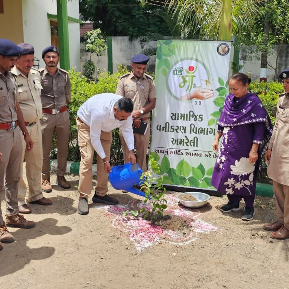 અમરેલીમાં વિશ્વ પર્યાવરણ દિવસ ઉજવાયો:વનચેતના કેન્દ્ર ખાતે 'બીજ મેળા'નું ભવ્ય આયોજન, નાગરિકોમાં નિઃશુલ્ક છોડનું વિતરણ
