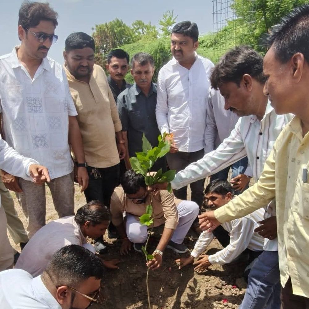 ધારાસભ્ય, મેયર, ડે મેયર દ્વારા બૌદ્ધ વિદ્યાલયમાં વૃક્ષારોપણ:સુરેન્દ્રનગર મહાનગરપાલિકાના પદાધિકારીઓનું સન્માન પણ કરાયું