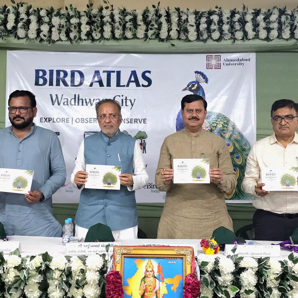 વઢવાણ સિટી બર્ડ એટલાસ પ્રોજેક્ટનો પ્રારંભ:કેબિનેટ મંત્રી અર્જુન મોઢવાડિયાએ ઉદ્ઘાટન કર્યું, 100 પક્ષીવિદો જોડાશે