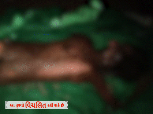અમરેલી જિલ્લાના બગસરા નજીક સિંહણે 7 વર્ષના બાળકને મોઢામાં દબોચી 1 કિમી ઢસડ્યું