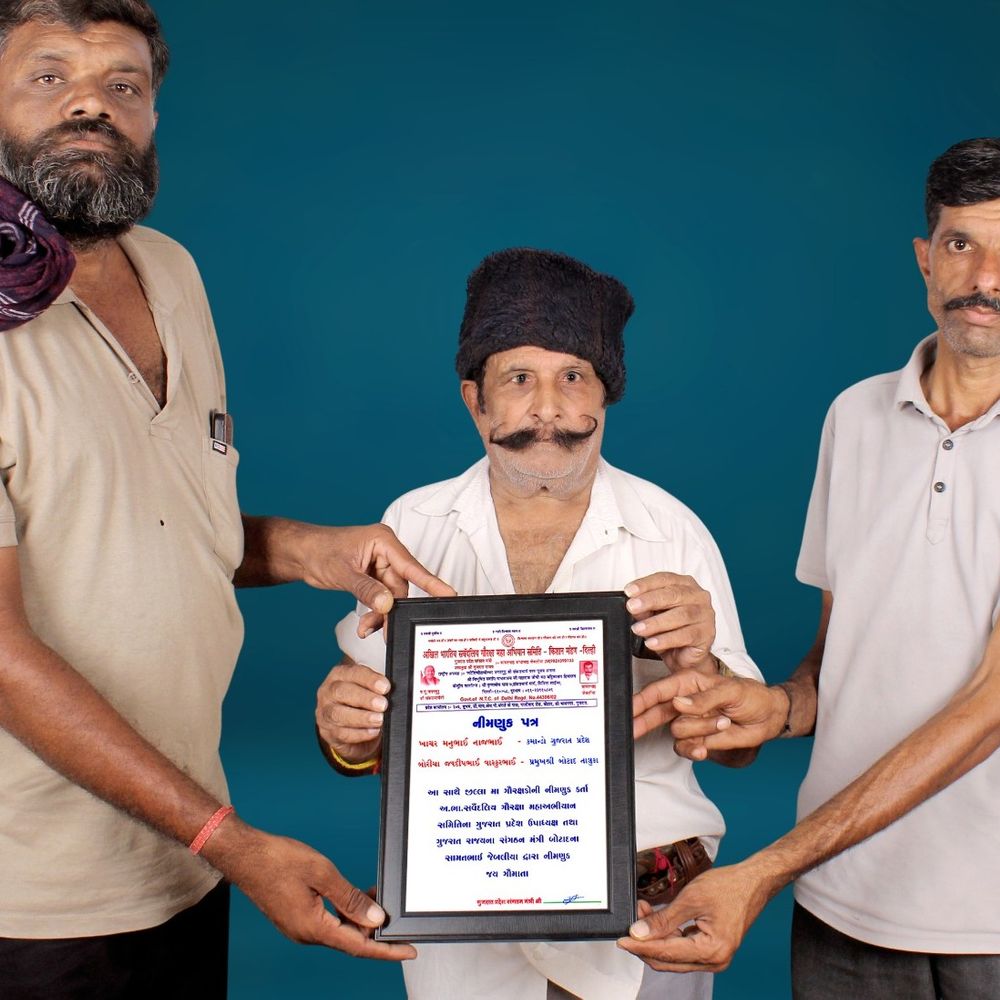 બોટાદમાં 100 ગૌરક્ષકોની નિમણૂક, ગૌરક્ષાના કાર્યને મળશે વધુ બળ