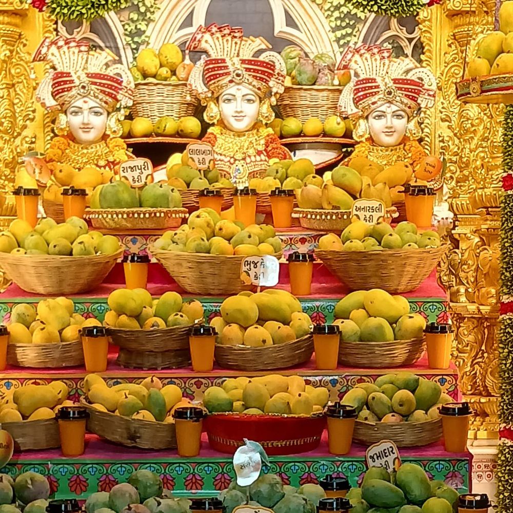 હિંમતનગર BAPS મંદિરમાં મહા આમ્રોત્સવ:23 પ્રકારની કેરીઓનો અન્નકૂટ, સવારથી સાંજ સુધી દર્શન