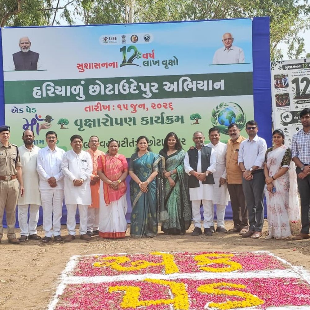 છોટા ઉદેપુરમાં 1.20 લાખ વૃક્ષનું વાવેતર:PM મોદીના 12 વર્ષ પૂર્ણ થવા પર પ્રભારી મંત્રીએ કર્યું વૃક્ષારોપણ