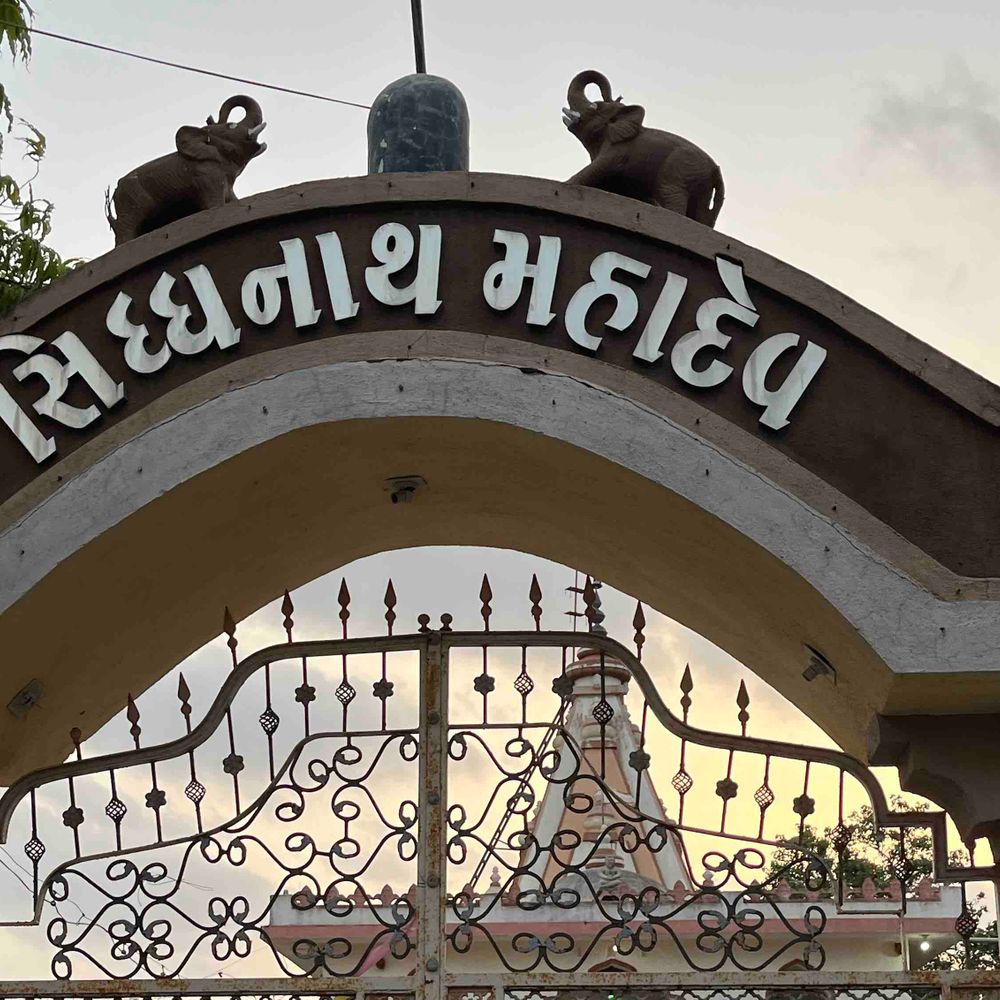 લાલપુરમાં એક મહિનાના ભક્તિ કાર્યક્રમનું સમાપન:સિદ્ધનાથ મહાદેવ મંદિરે ગૌરી માતાજીનું જલવિસર્જન કરાયું