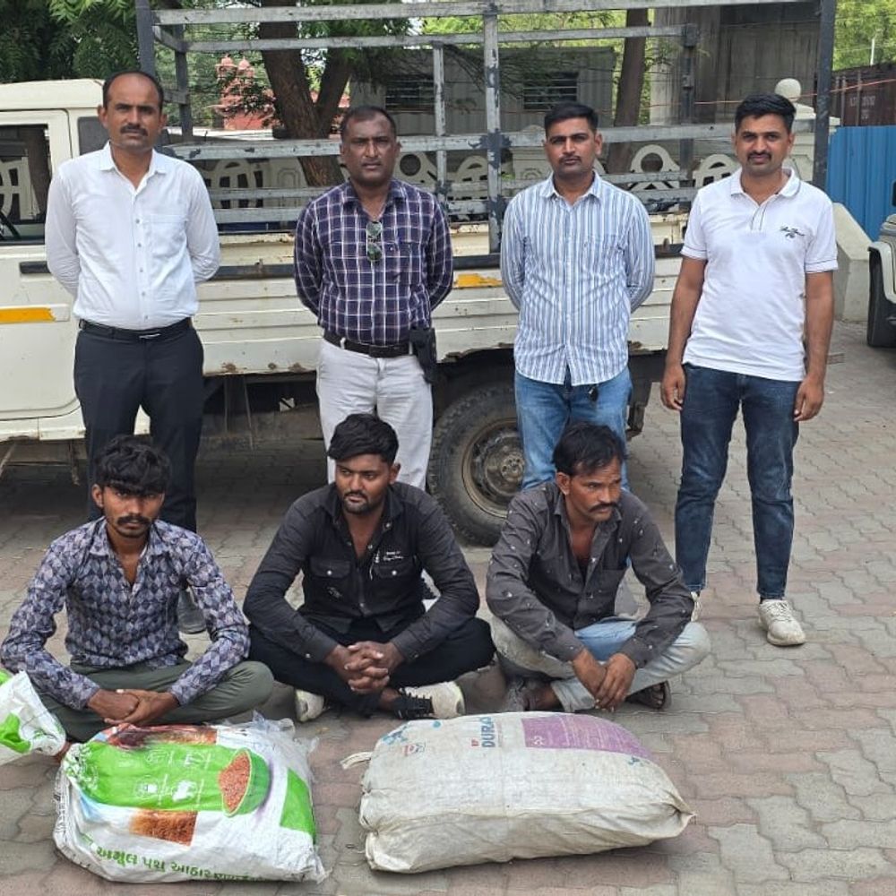 મોરબીમાં કારખાનામાંથી કોપર વાયર ચોરી કરનારા 3 ઝડપાયા:₹1.97 લાખનો મુદ્દામાલ જપ્ત, અન્ય બેની શોધખોળ ચાલુ