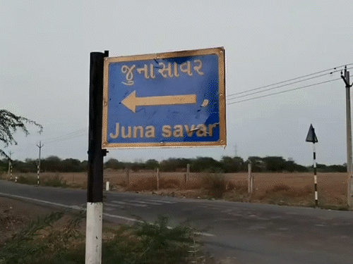 અમરેલીમાં ખેડૂતના મળ્યા હાડકાં, વન્યપ્રાણી હુમલાની પ્રબળ આશંકા