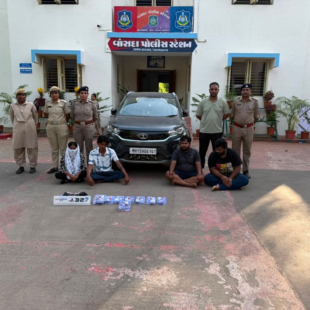 નવસારી સરહદે ગેરકાયદેસર હથિયારો સાથે 4 ઝડપાયા:નકલી નંબર પ્લેટવાળી કારમાંથી પિસ્તોલ જીવતા કારતૂસ સહિત 16 મોબાઈલ જપ્ત
