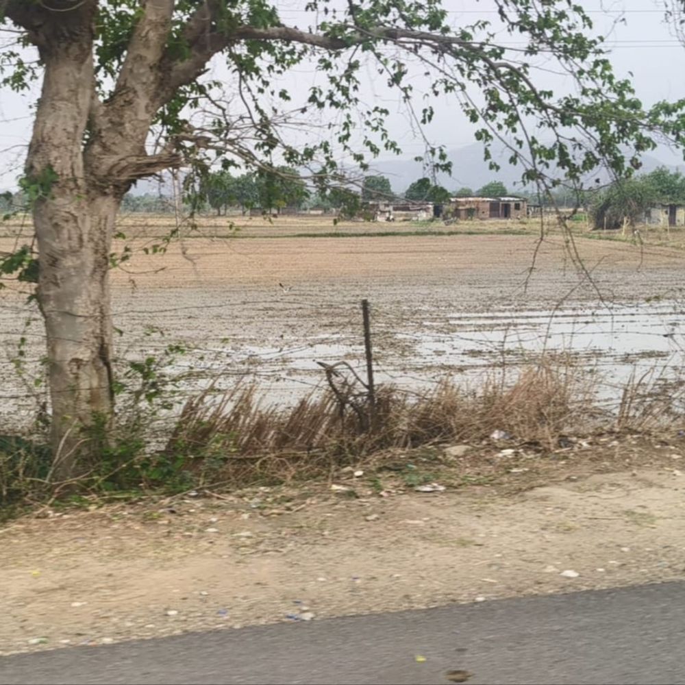 મહેસાણા જિલ્લામાં હવામાનમાં પલટો:સતલાસણામાં ભારે ગાજવીજ સાથે 3 ઇંચ વરસાદ, ખેરાલુ-વિજાપુરમાં પણ પવન સાથે ઝાપટાં