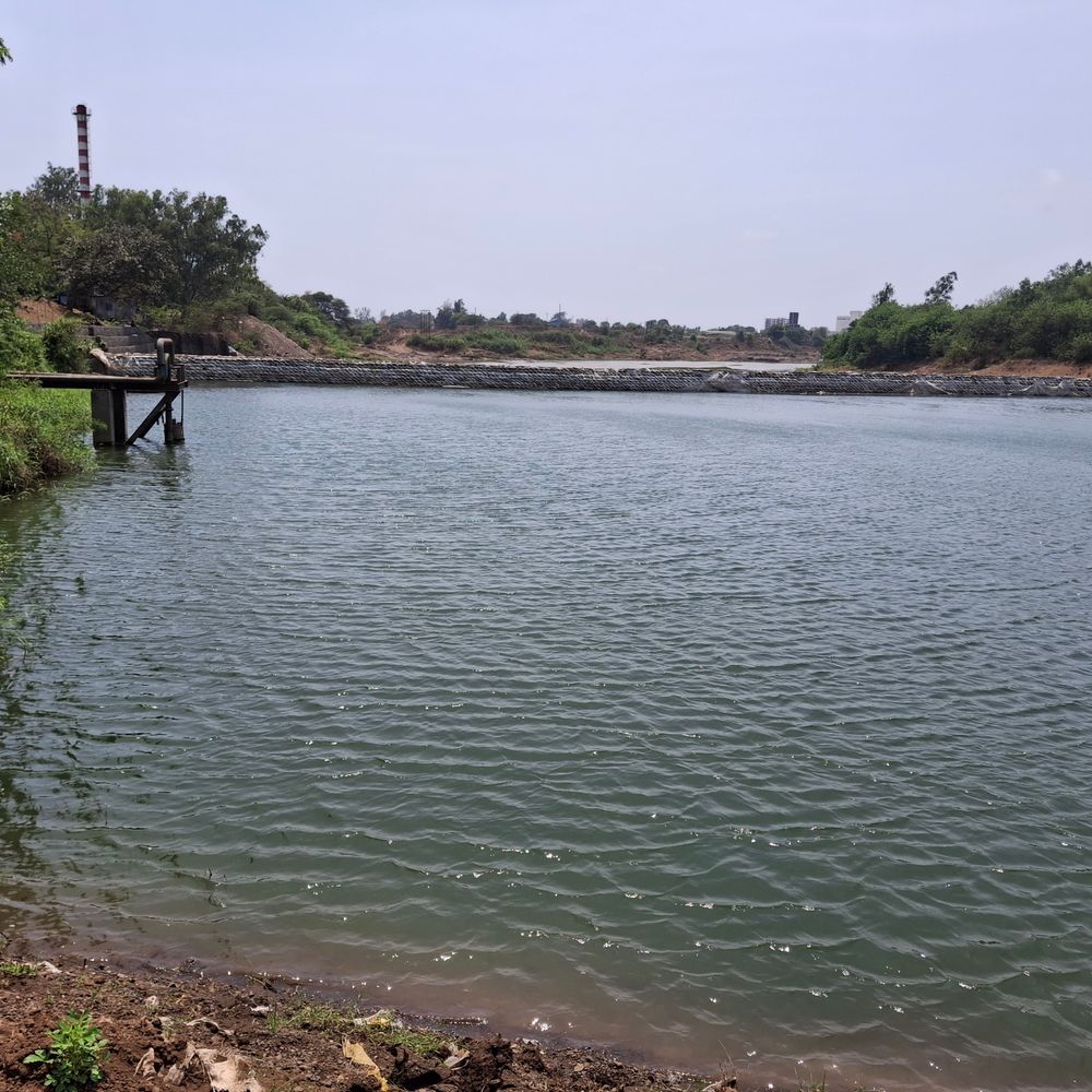 વલસાડમાં જળસંચયની અસર:મધુવન ડેમ છલકાયો, નદીઓ ભરાઈ; ખેતરોમાં લીલોછમ પાક લહેરાયો