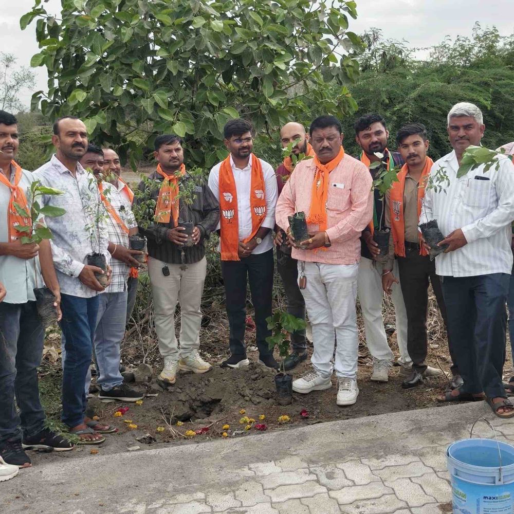 પડાણામાં યુવા ભાજપનું વૃક્ષારોપણ અને ચાય પે ચર્ચા:પર્યાવરણ સંરક્ષણ સાથે લોકહિતના મુદ્દાઓ પર ચર્ચા યોજાઈ