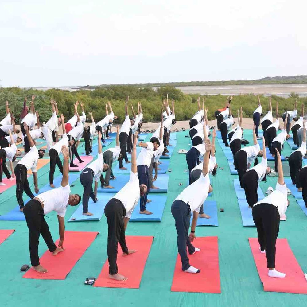 ITRA દ્વારા 'રન ફોર યોગ' રેલી:આંતરરાષ્ટ્રીય યોગ દિવસ અભિયાન અંતર્ગત આયોજન