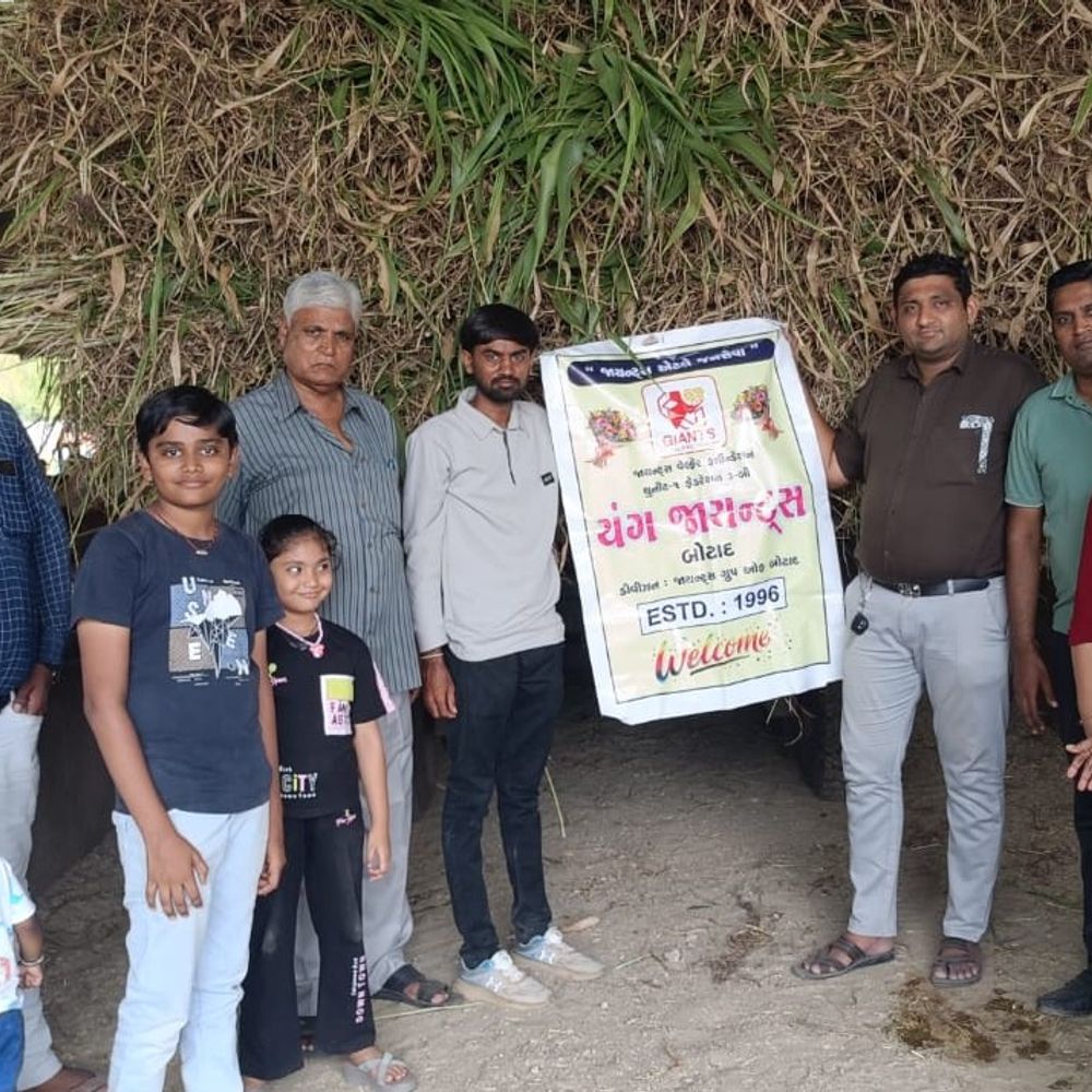 શાહ પરિવારે ₹21,500નો લીલો ઘાસચારો અર્પણ કર્યો:યંગ જાયન્ટ્સ બોટાદે ગાયોને ખવડાવવાનો કાર્યક્રમ યોજ્યો