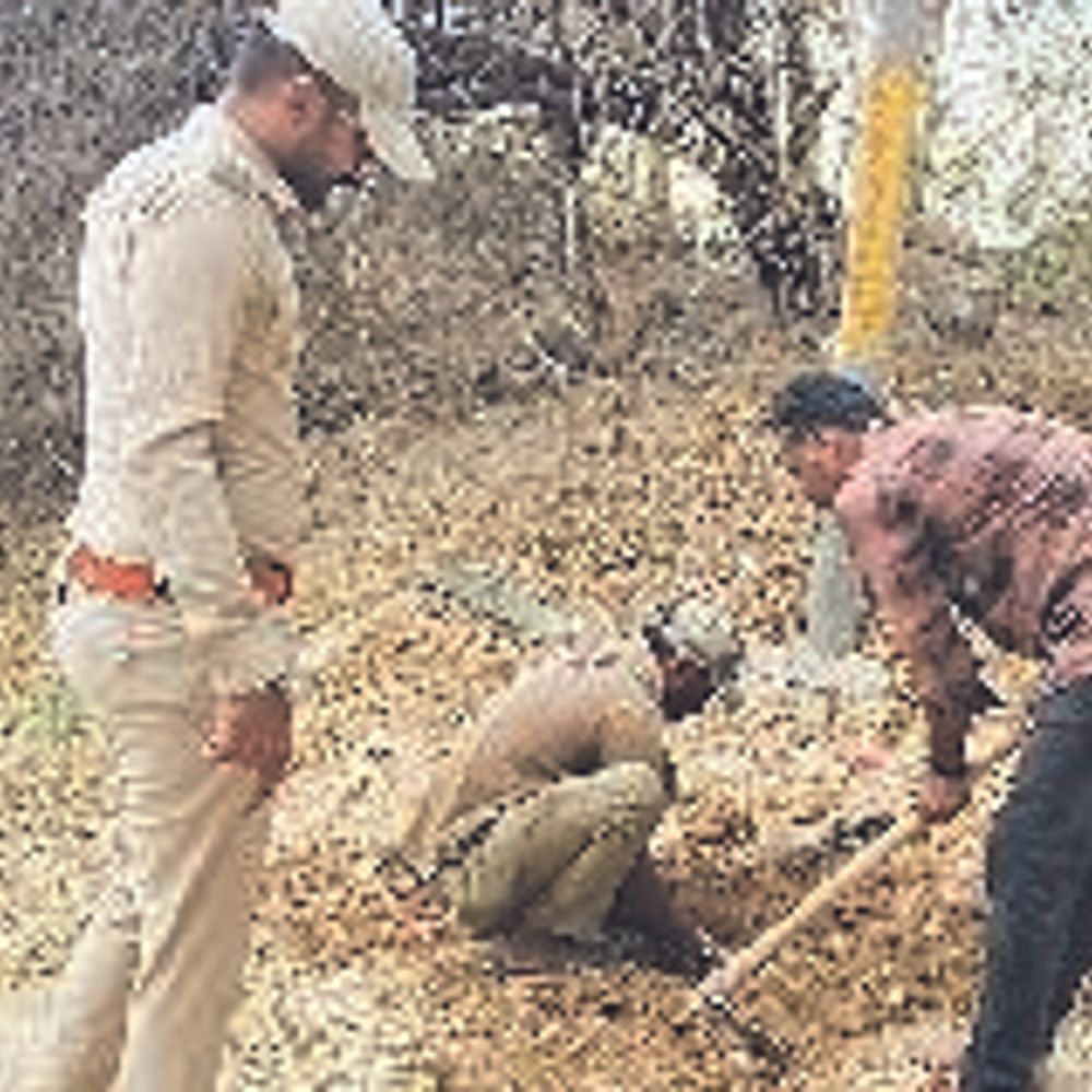 વન વિભાગની પાણી લાઇનમાં ગેરકાયદે જોડાણ