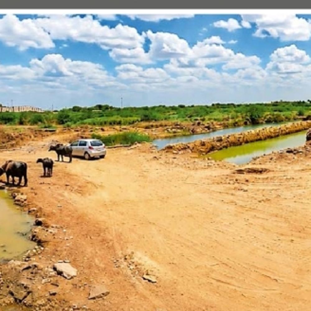 ભુજનું ધુનારા તળાવનું પુનર્જીવન