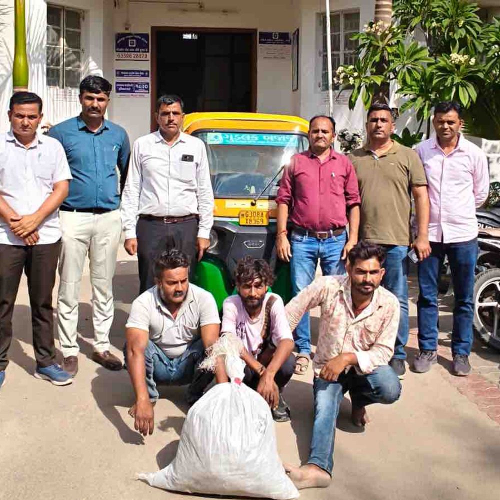 પાલનપુર: ઓટો રીક્ષામાંથી 4.6 કિલો ગાંજો જપ્ત:4.42 લાખના મુદ્દામાલ સાથે ત્રણ આરોપીઓની ધરપકડ