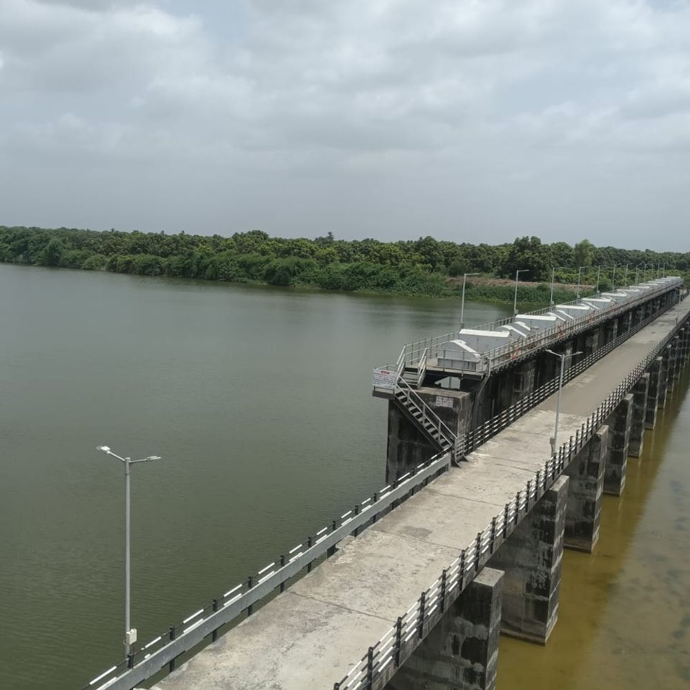 સૌરાષ્ટ્રના 11 જિલ્લામાં જૂનાગઢ 9માં ક્રમાકે‎:વરસાદ ખેંચાયો પણ પાણીનું સંકટ નહીં, હસ્નાપુરમાં હજુ 43.40% પાણી