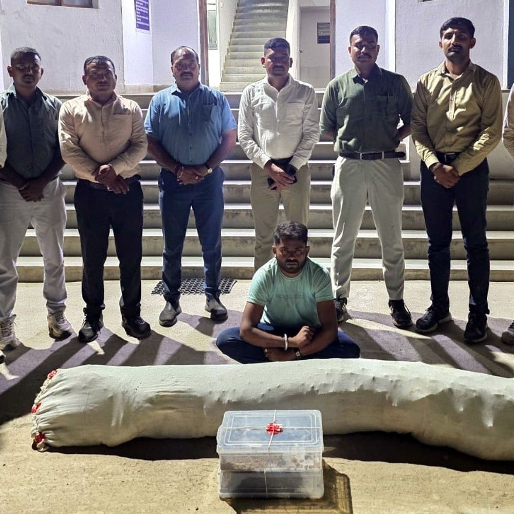 વિજયનગરના સરોલીમાંથી 15 કિલોથી વધુ ગાંજો જપ્ત:એક વ્યક્તિની NDPS એક્ટ હેઠળ ધરપકડ