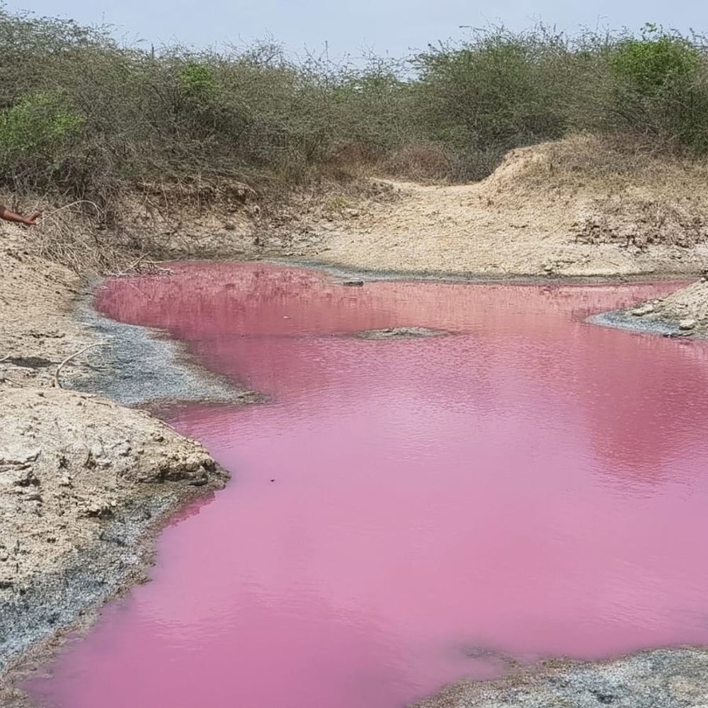 સમીના સોનાર ગામે પાણીના ખાડામાં કેમિકલ ઠાલવાયું:પાણી ગુલાબી બન્યું, ગ્રામજનોએ મામલતદાર અને પોલ્યુશન બોર્ડને રજૂઆત કરી
