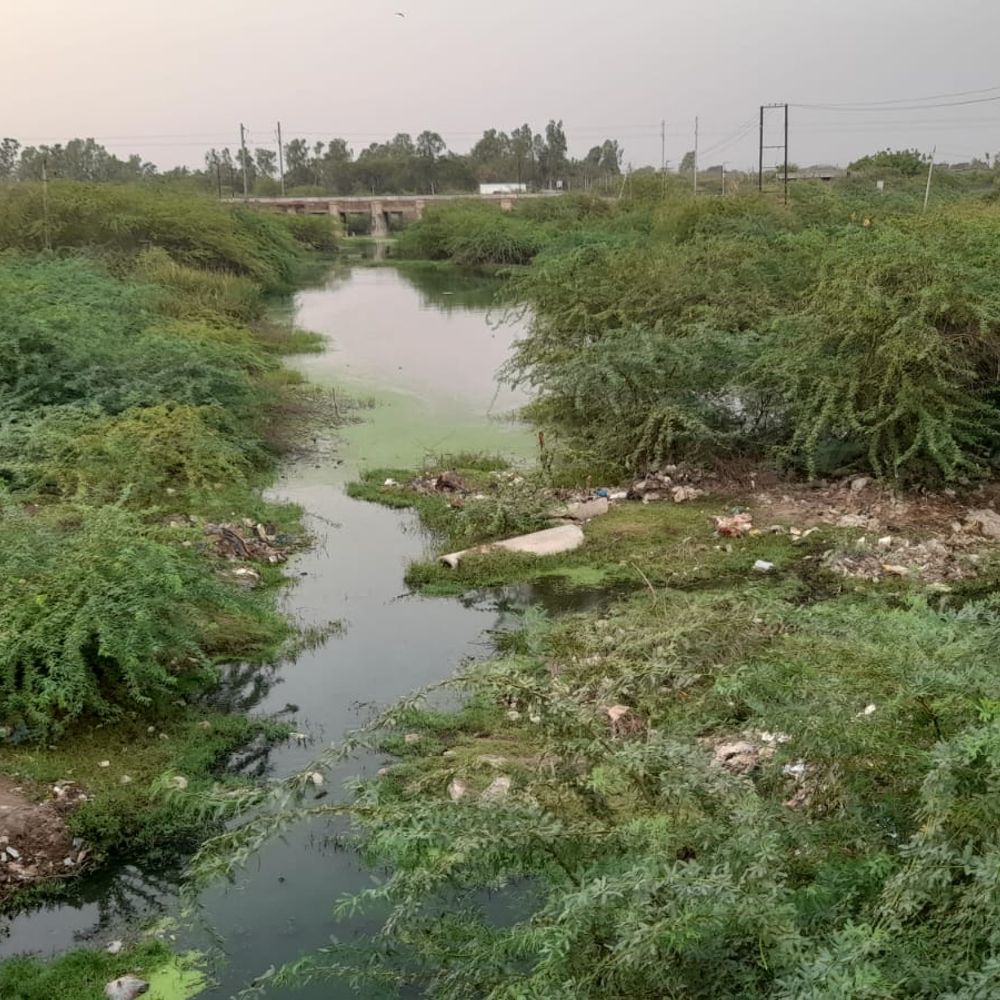 થાનગઢમાં કરોડોના ખર્ચે બનેલા એસટીપી પ્લાન્ટનો વાસ્તવિક લાભ ન મળ્યો‎:9 MLD પાણી સામે 7 MLD શુદ્ધિકરણ, ખેડૂતોને પાણી ન મળતા રૂપિયા પાણીમાં ગયાનો આક્ષેપ