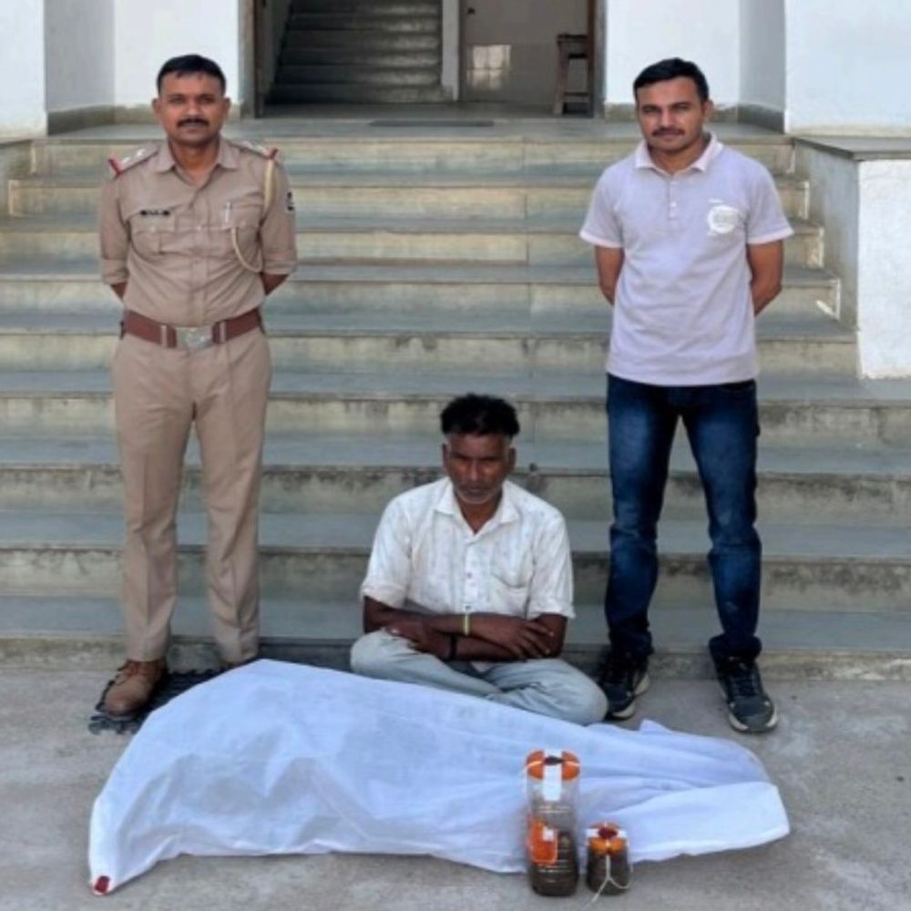 વિજયનગર પોલીસે ગાંજાનું વાવેતર ઝડપ્યું:1.511 કિલો ગાંજા સાથે એક આરોપી પકડાયો