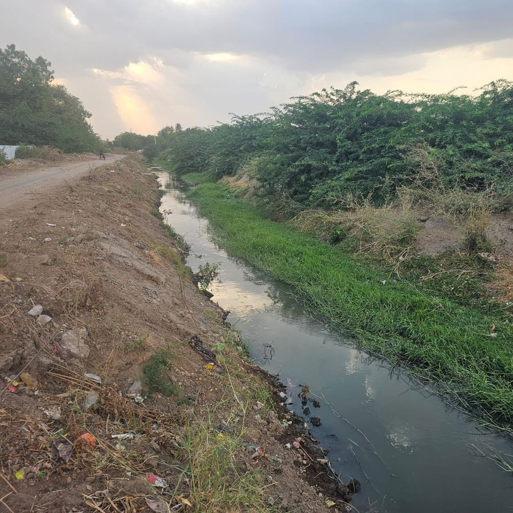 પાટણમાં કેનાલ દ્વારા તળાવમાં ગટરનું ગંદુ પાણી ઠલવાયું:મુખ્ય લાઇન ચોકઅપ, અનેક વોર્ડમાં ગટર ઉભરાઈ